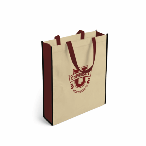 CN20 custom sewing non woven bag A4 stitched handle heavy duty 100gsm for catalogs