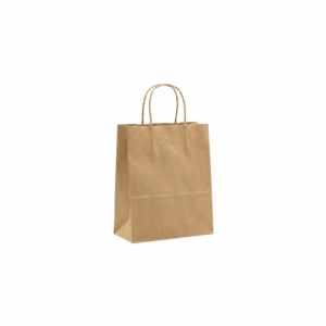 Custom brown kraft paper bag small size 120gsm with twisted handle eco friendly doorgift Malaysia