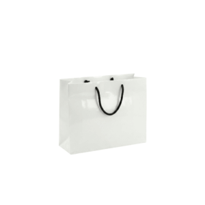 Laminated paper bag PB002 square shape 220mm x 230mm gloss matte finish Malaysia