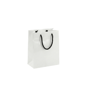 Laminated paper bag PB004 medium portrait size 200mm x 290mm gloss matte finish Malaysia