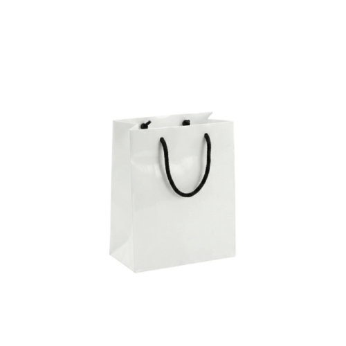 Laminated paper bag PB004 medium portrait size 200mm x 290mm gloss matte finish Malaysia