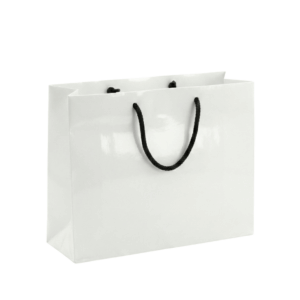Laminated paper bag PB006 large landscape size 370mm x 295mm gloss matte finish Malaysia