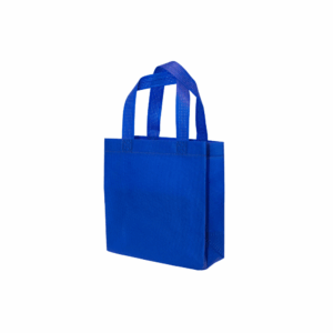 NW24 ready stock 75gsm non woven bag ultrasonic finished A5 size 20x20cm budget mini tote